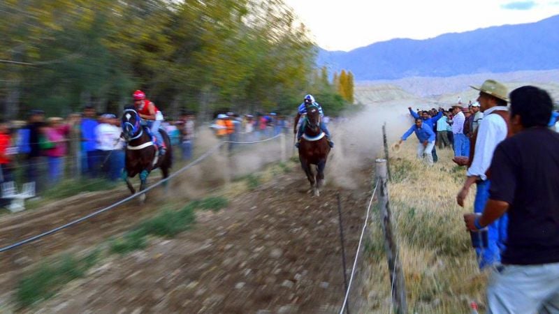 Caballos de Belén, Cafayate y Santa María se medirán en espectaculares cuadreras