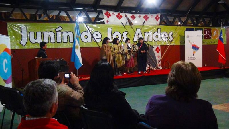 Vidaleras diaguitas de Fiambalá en Junín de los Andes