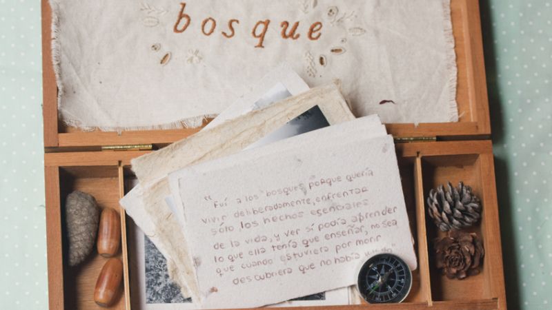 Catamarca desembarca, por primera vez, en arteBA