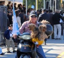 Capital suma una nueva jornada de atención gratuita para mascotas