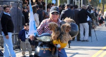 Capital suma una nueva jornada de atención gratuita para mascotas