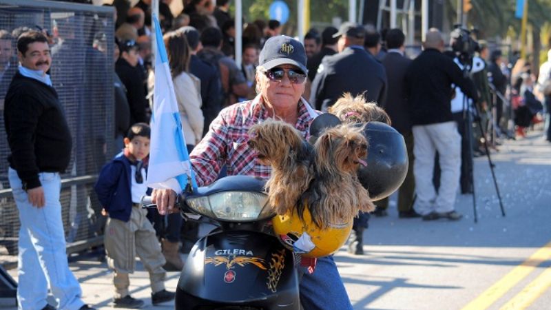 El “color del 25”