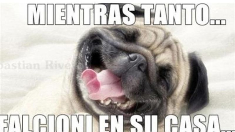 Los afiches \"coperos\"