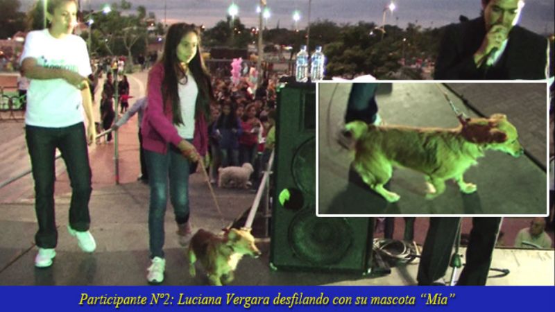 Gran festejo del “Día del Animal” en Parque de los Niños 