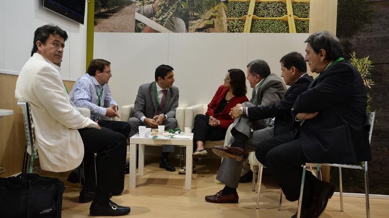 En España reconocen la calidad del aceite de oliva de Catamarca