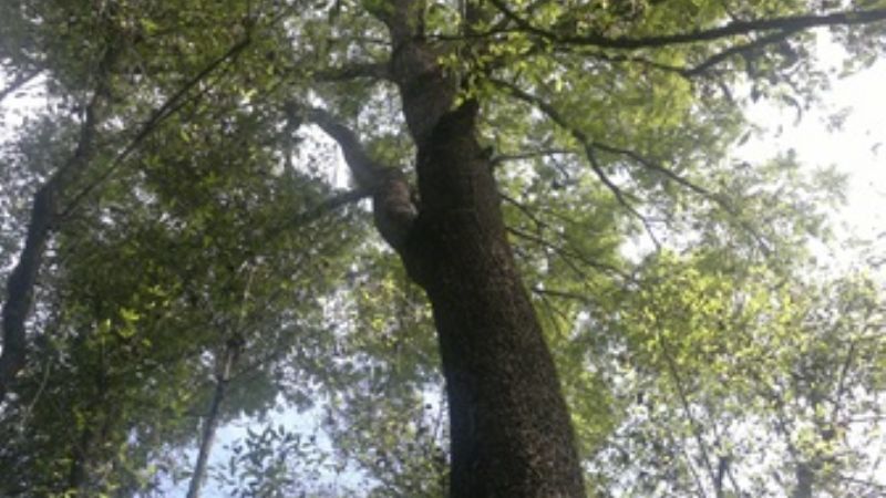 Rescate y traslocación de una especie en extinción en Catamarca