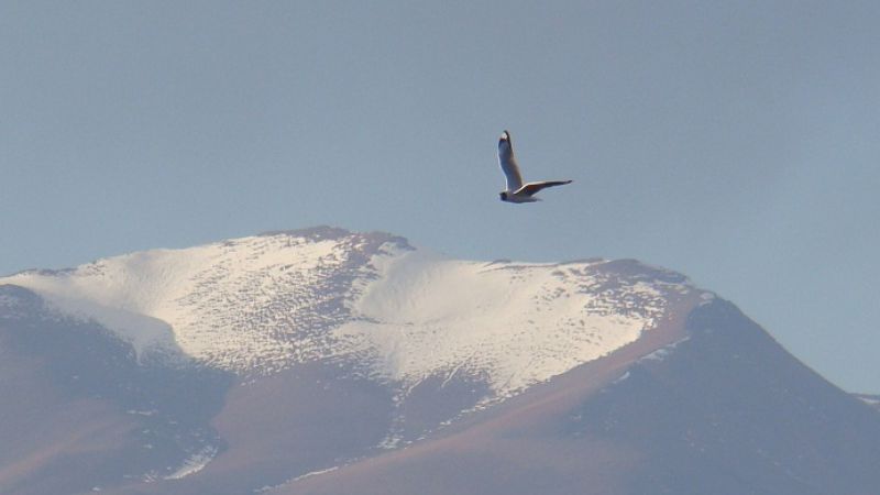 Concurso fotográfico "Nuestro Planeta en Foco 2013"