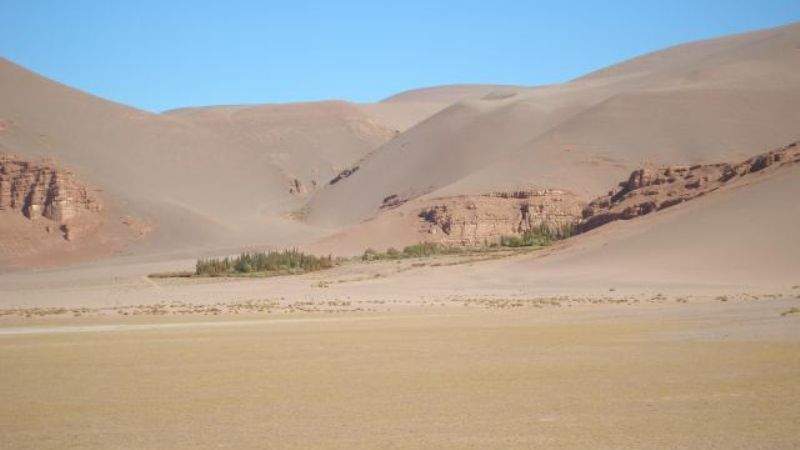 Quinua, entre la tradición y lo moderno