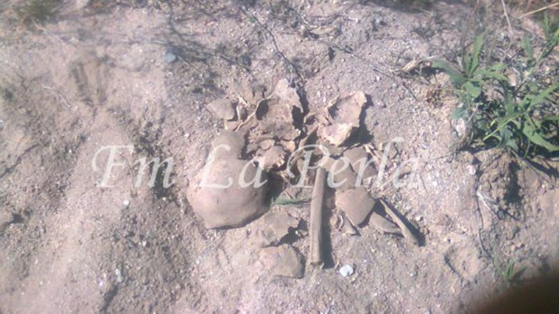 Encuentran restos óseos en Andalgalá