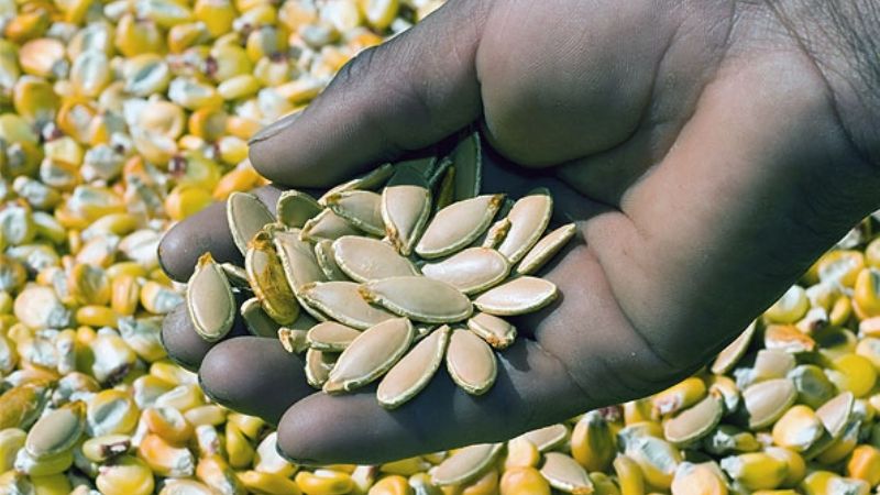 Encuentro regional "Nuestros Alimentos Tradicionales"