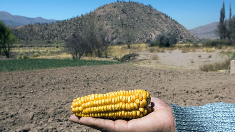 Encuentro regional "Nuestros Alimentos Tradicionales"