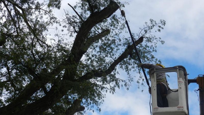 Poda sin descanso el fin de semana