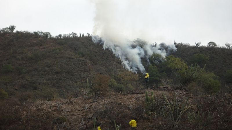 Incendio forestal al Noroeste de la ciudad