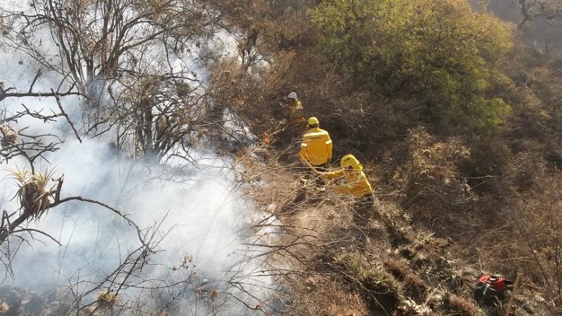 Incendios forestales durante el fin de semana