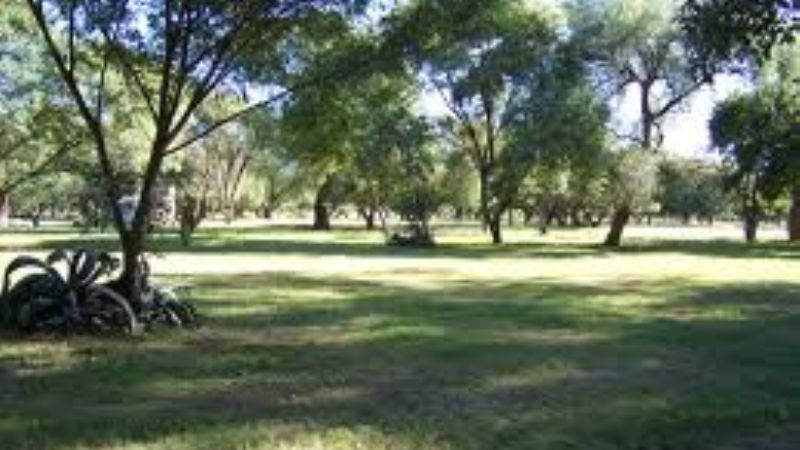 Arrestan a un joven en el Parque Adán Quiroga