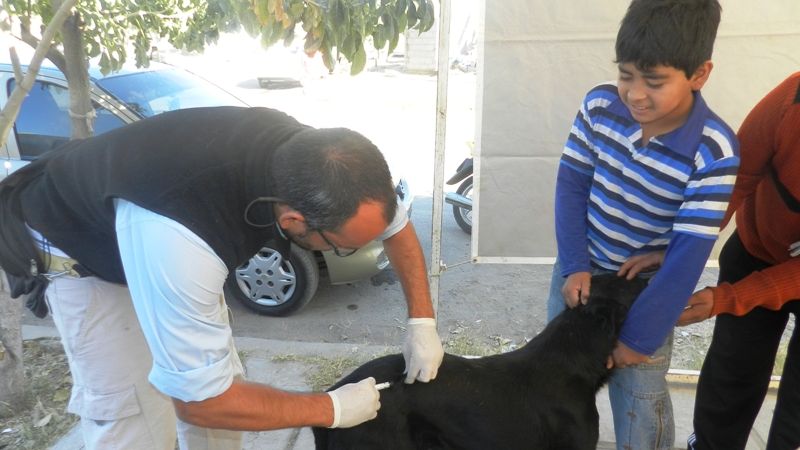 “Cuidando a tu mascota nos cuidamos todos”, llega al sur de la ciudad