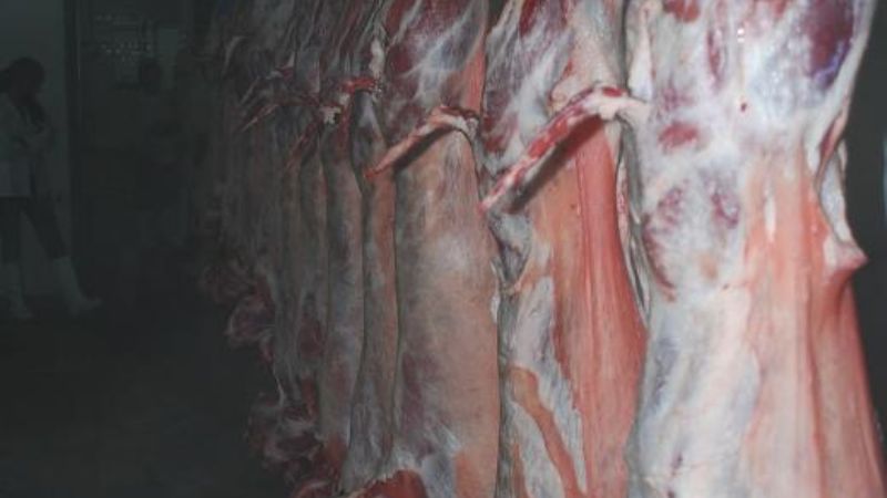 El INTA expondrá sobre olivo, quinua y cabrito en el Poncho 2013