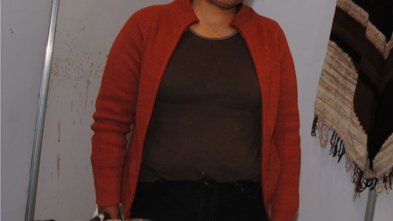 Tejiendo con agujas, tradiciones de llama y oveja