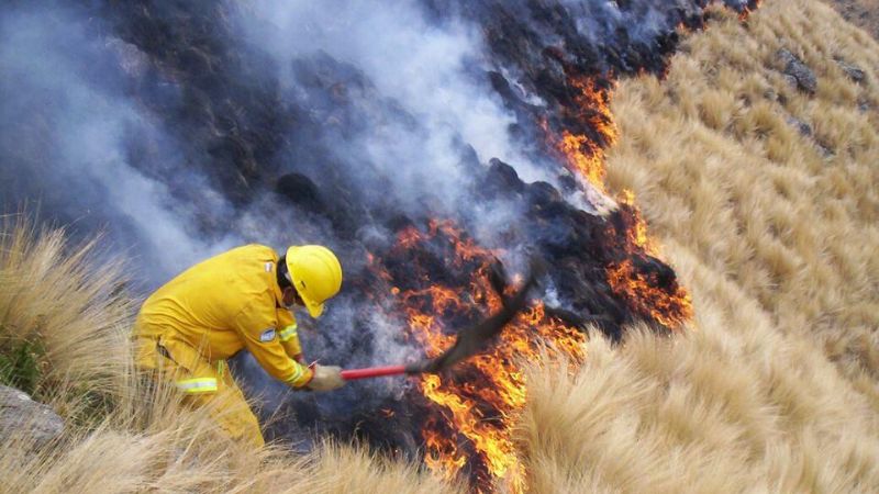 Bomberos Volutantarios de Santa María ayudaron a combatir un incendio 