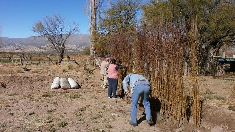 Minera Alumbrera ayuda a pequeños productores 