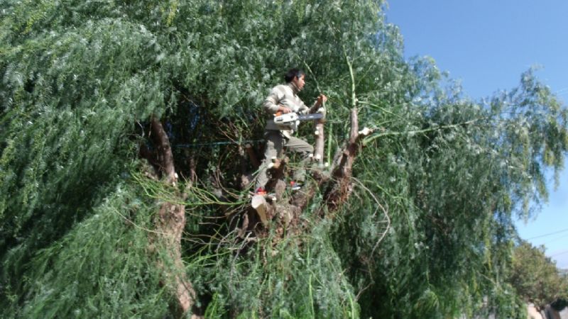 Trabajos solidarios en el barrio La Antena