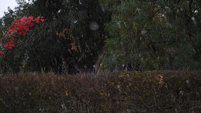 Nieva en Catamarca, cierran las Cuestas y la Cébila