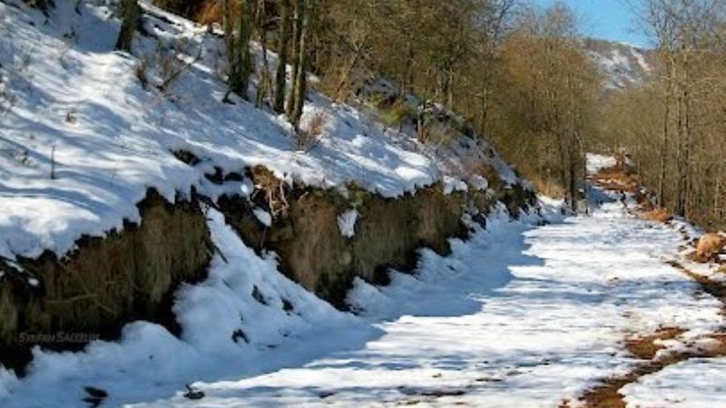 20 cm. de nieve en Balcozna; cierran la cuesta de Singuil