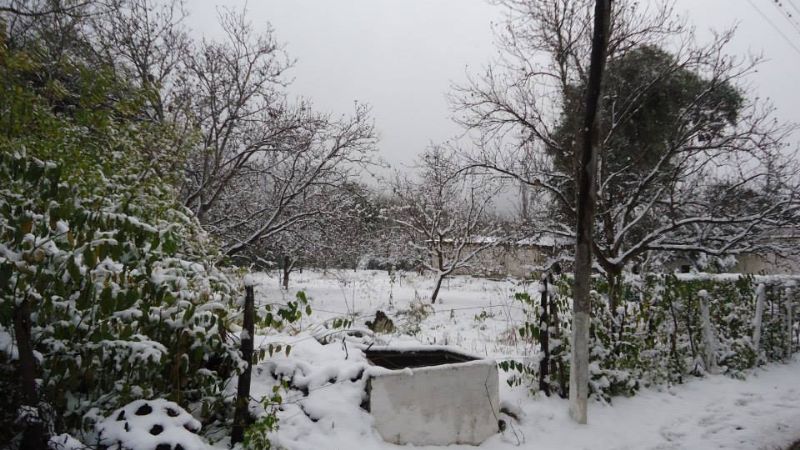 La nieve en Facebook