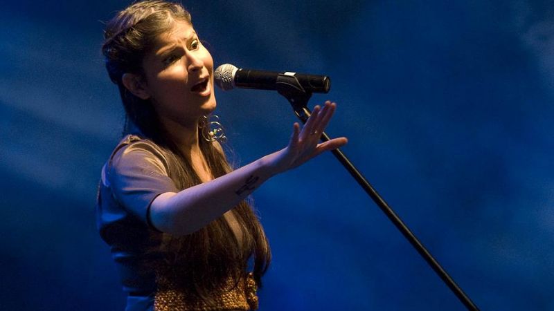 El jurado destacó 20 propuestas artísticas del festival del Poncho 2013