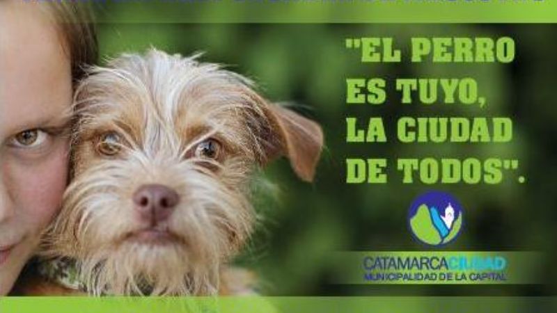 Comienza campaña “El perro es tuyo, la ciudad de todos”  