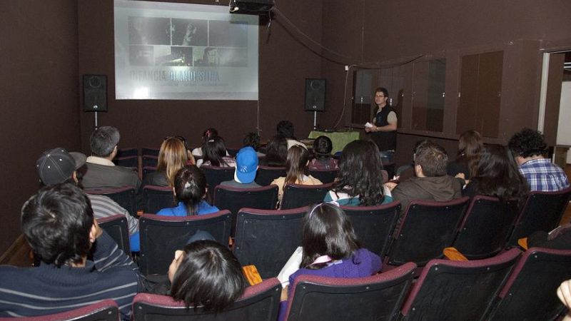 Gran aceptación de las propuestas artísticas en el Poncho 2013