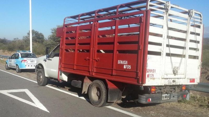 Secuestran 23 porcinos en la ruta 38