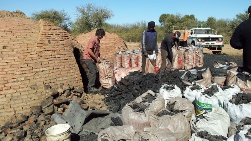 Secuestran gran cantidad de material forestal en el Este provincial