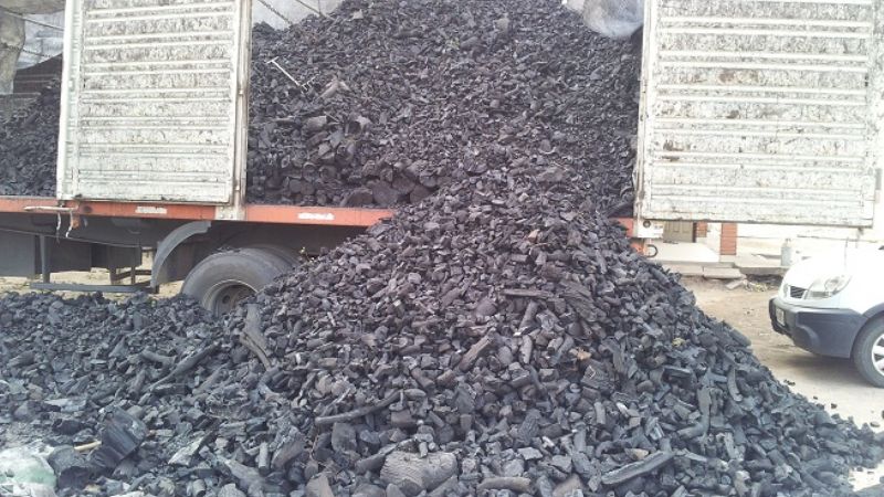 Secuestran gran cantidad de material forestal en el Este provincial