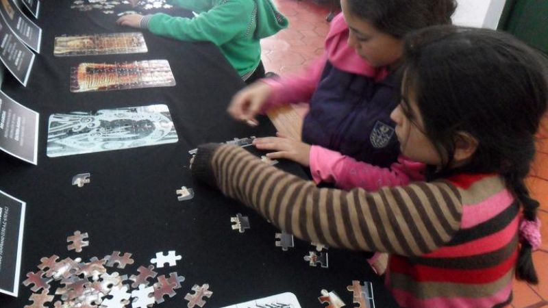 Propuestas en vacaciones del Museo Arqueológico “Adán Quiroga”