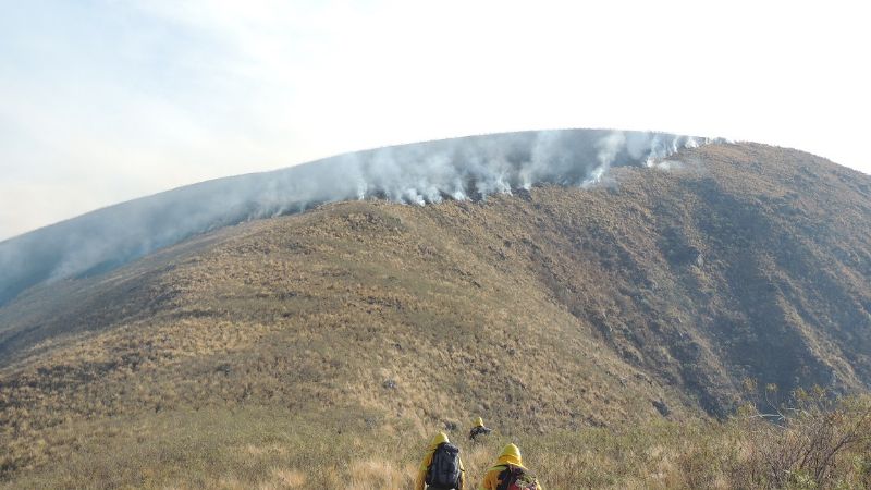 Combaten incendio forestal en el cerro Ambato