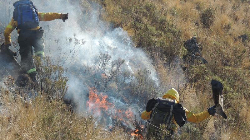Incendio de pastizales en Valle Viejo y FME