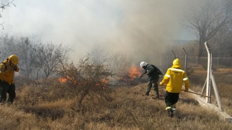 Combaten feroz incendio de pastizales en La Vista Larga