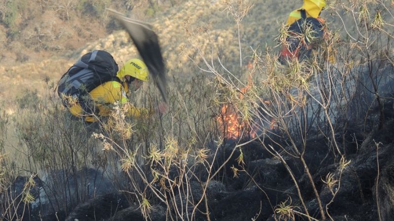 Combaten dos incendios forestales