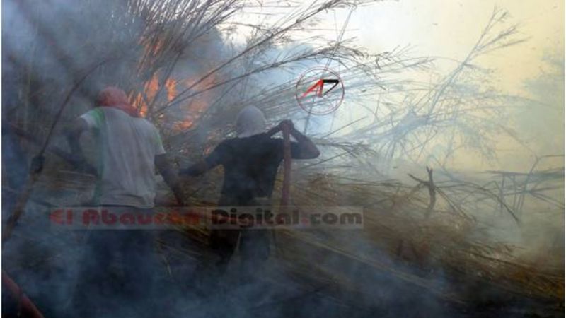 Voraz incendio forestal en Fiambalá