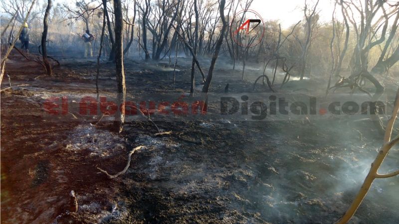 Voraz incendio forestal en Fiambalá