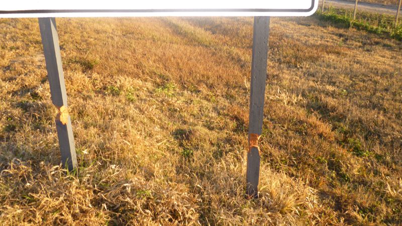 Dañan señales de Ruta Nacional Nº 64