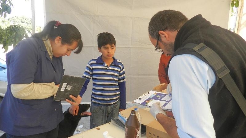 Finalizó exitosamente operativo de castración barrial