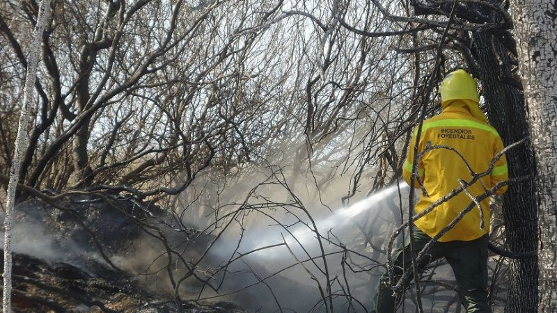 Continúan trabajos para combatir incendio forestal en cerro Ambato