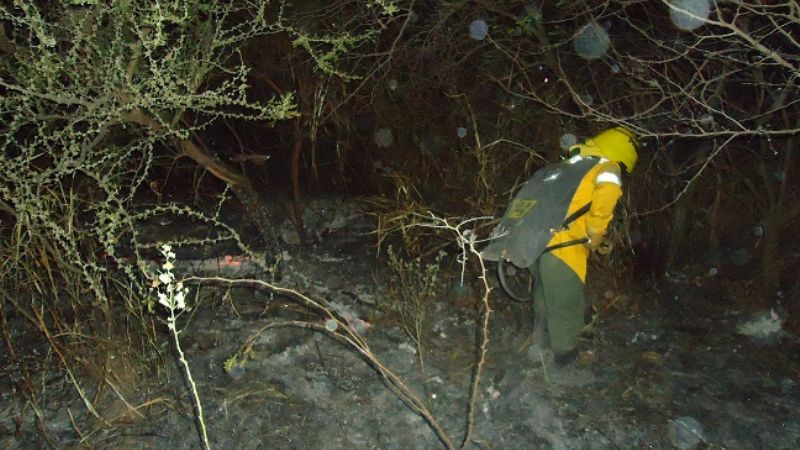 Combaten incendios forestales en FME y en Ambato