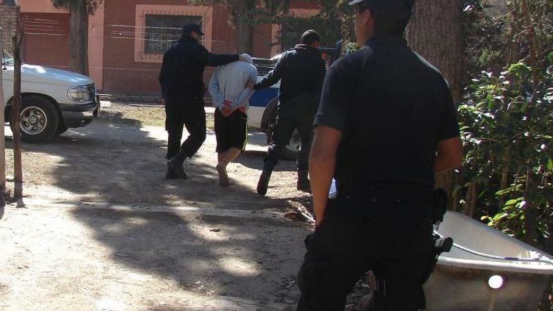 Denunció que su hijo tenía plantines de marihuana