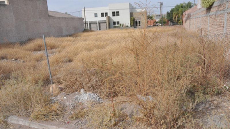 Limpian y multan a propietarios de terrenos baldíos que estén sucios