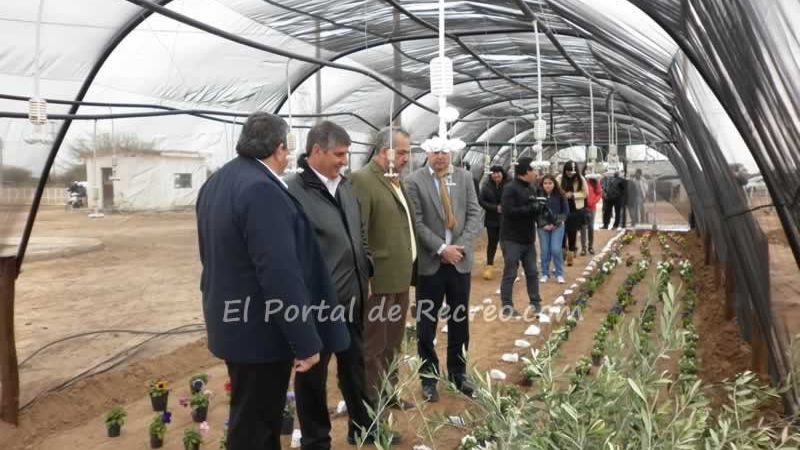 Jornada movida en Recreo