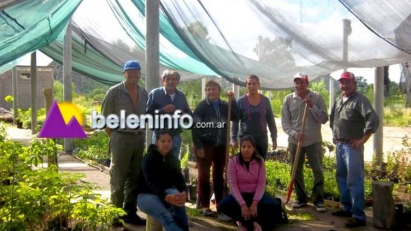Heladas afectaron un 80% a plantas frutales y ornamentales