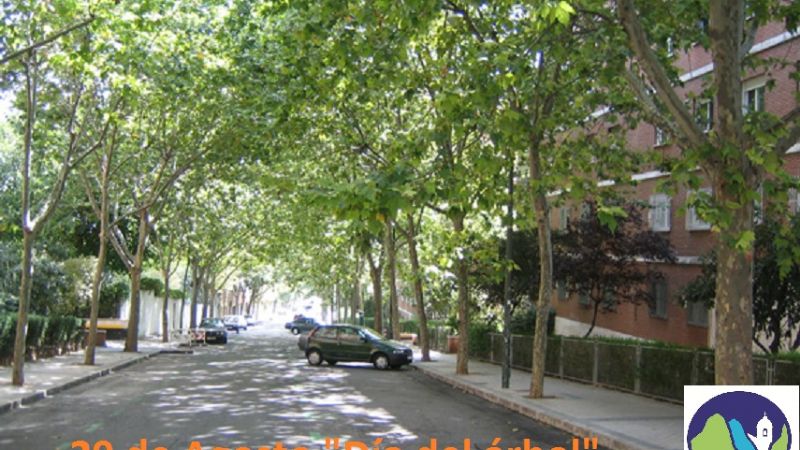 Alumnos entregan especies arbóreas en el Paseo de la Fe 